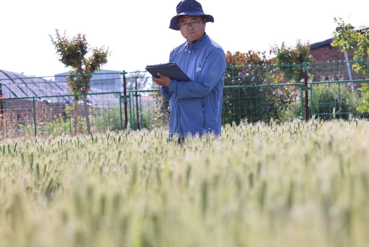 躬耕沃野守初心 建言笃行兴三农