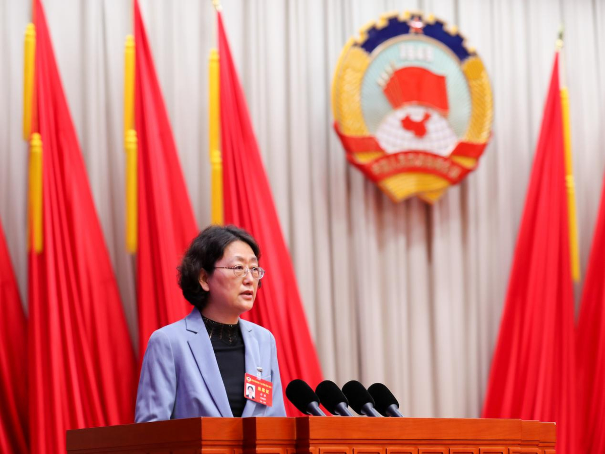 来听政协“好声音”丨河南如何加快实施制度型开放战略