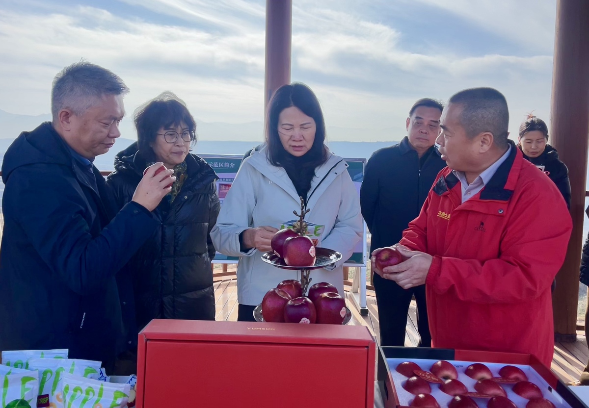 霍金花到洛宁县调研巩固拓展脱贫攻坚成果同乡村振兴有效衔接工作