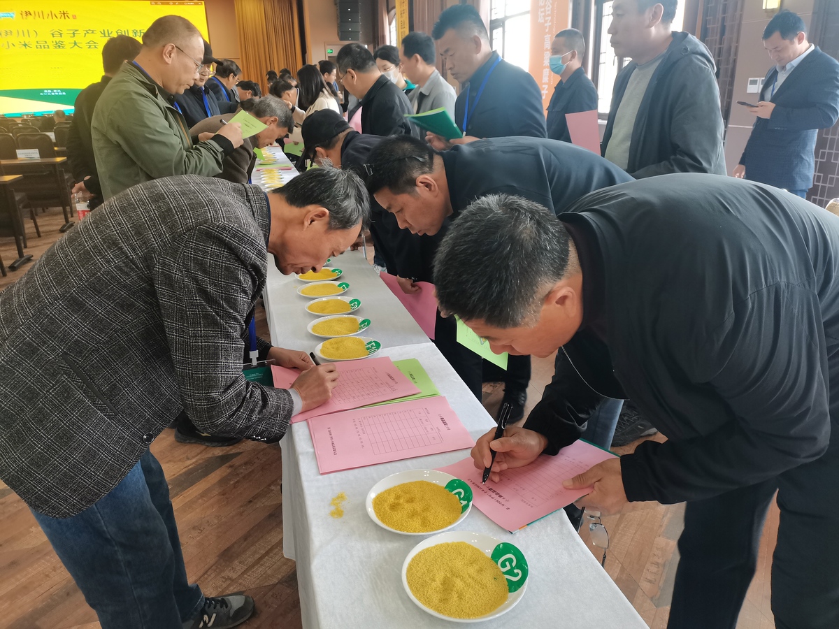 让中国“碗”盛上了更多的伊川“粮”