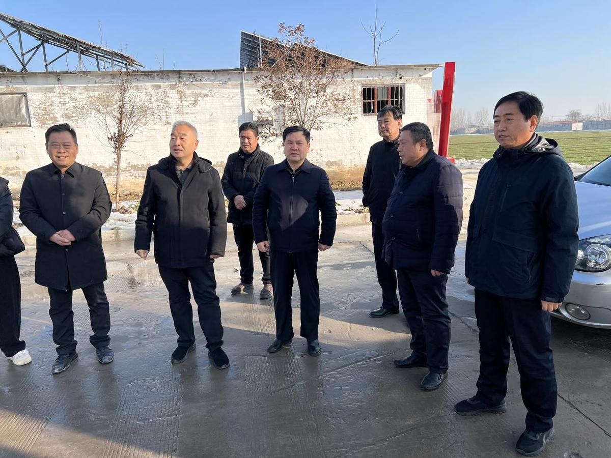 秦志军副主席深入基层调研  以主题教育成效 推进乡村振兴