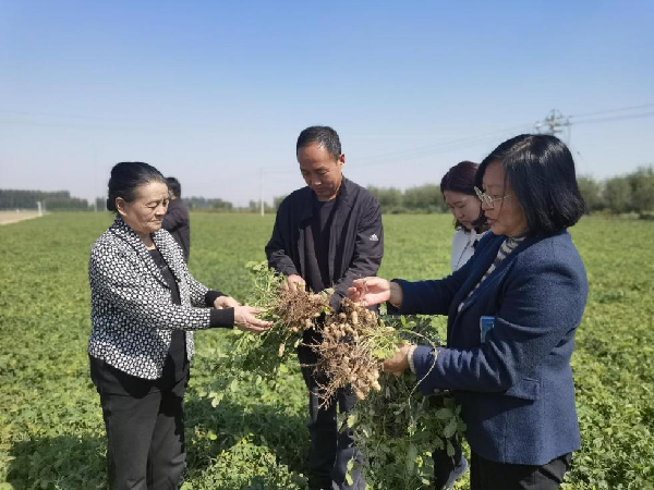 祥符区政协组织召开重点提案办理 征求意见座谈会