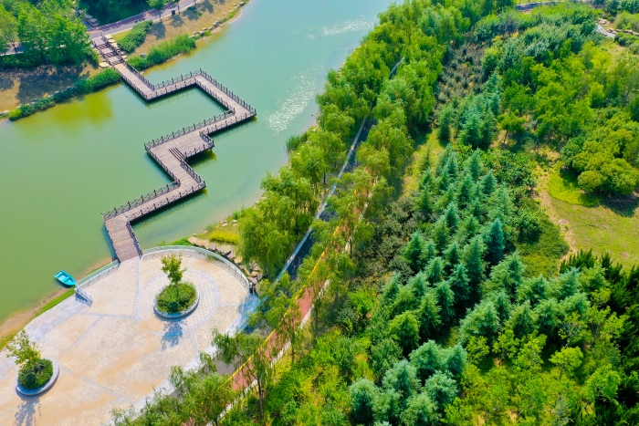 DJI_0575(4956657)-20230805095330.JPG