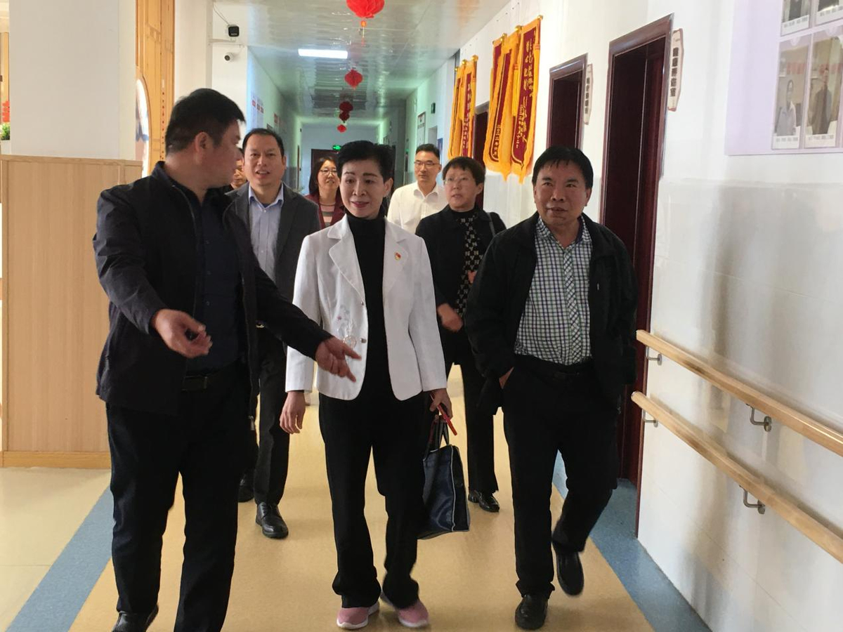 内乡政协开展养老服务业专题调研