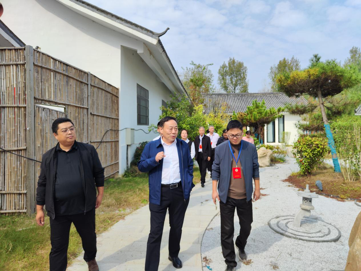 内乡县政协开展民宿产业专题视察