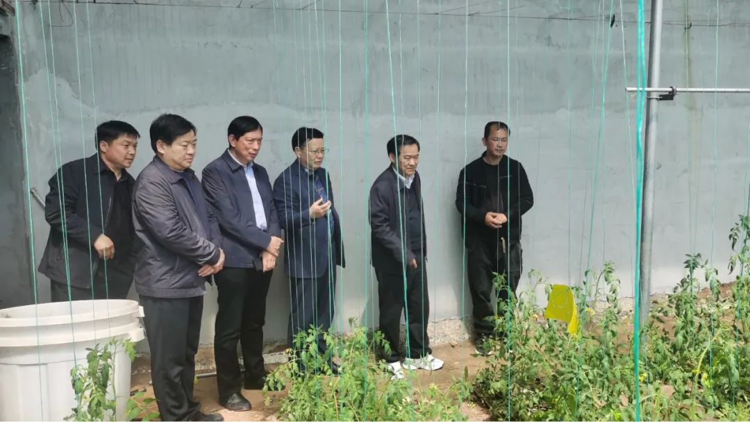 李德成副主席到南召县调研 