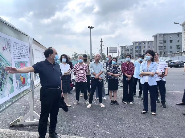 市政协副主席赵洁视察我市城市更新工作