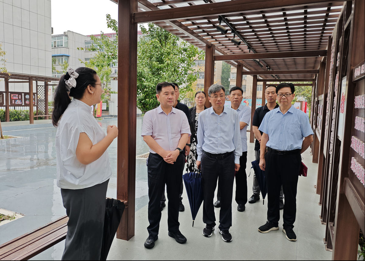 市政协副主席秦志军赴龙安区调研