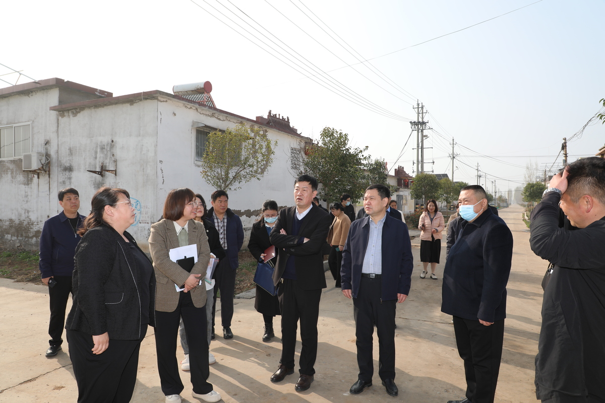 市政协到北关区专题调研视察农村人居环境整治提升工作