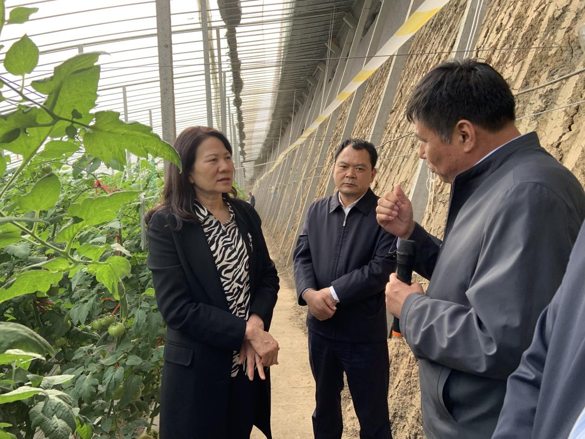 霍金花带队调研农业科技强省建设情况