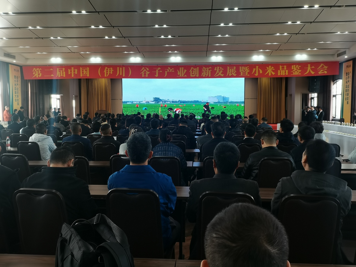 让中国“碗”盛上了更多的伊川“粮”