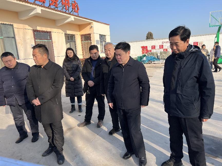 秦志军副主席深入基层调研  以主题教育成效 推进乡村振兴