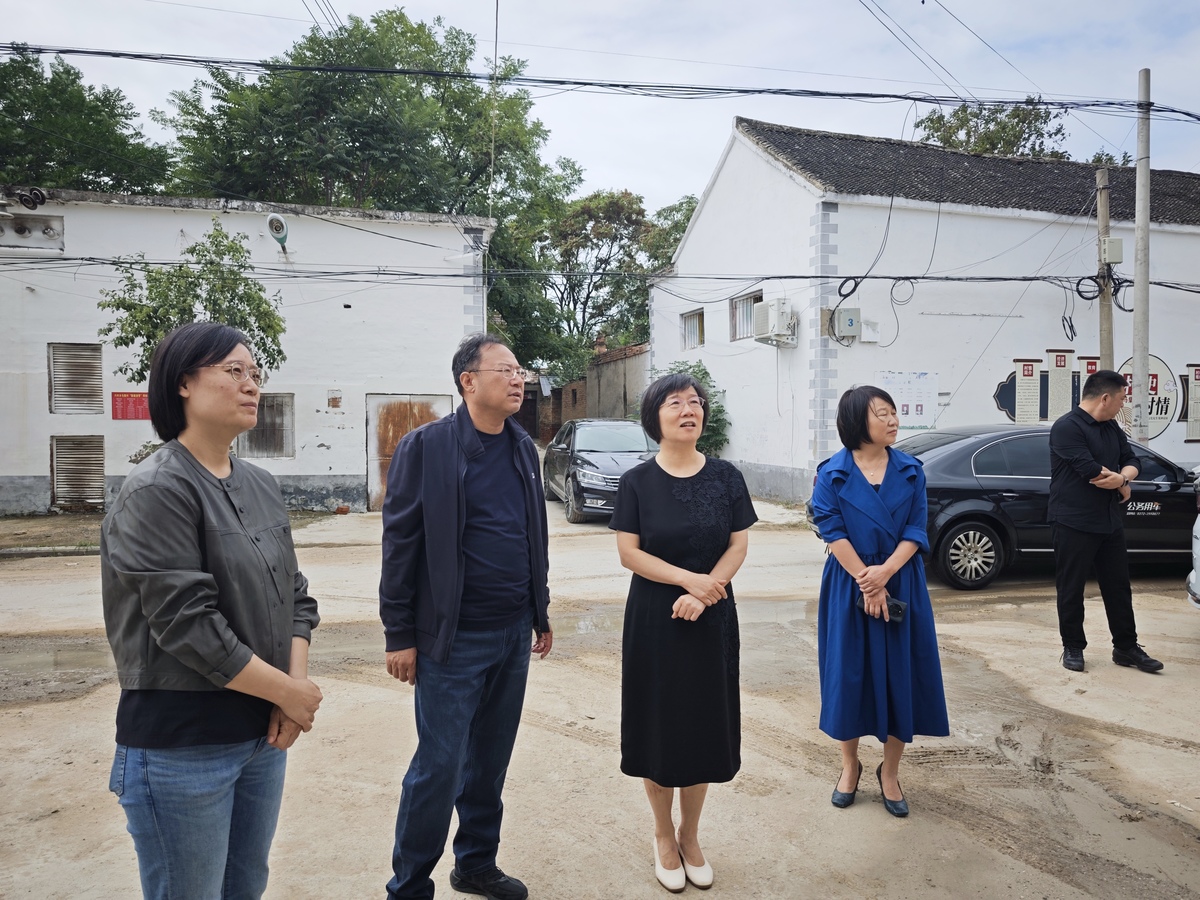 市政协副主席黄艳赴内黄县 联系指导“一星”支部和软弱涣散村整顿工作