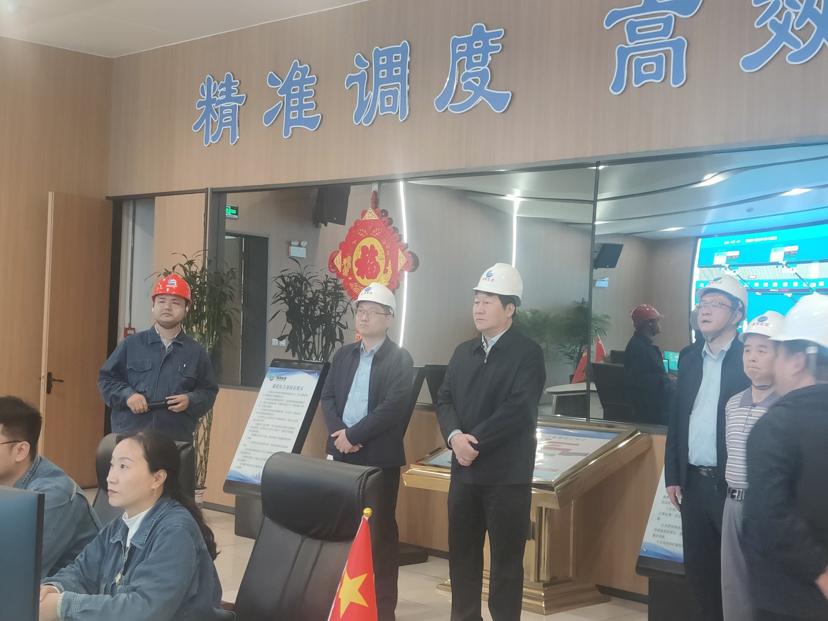 刘鸿民副主席调研精细化工产业发展情况