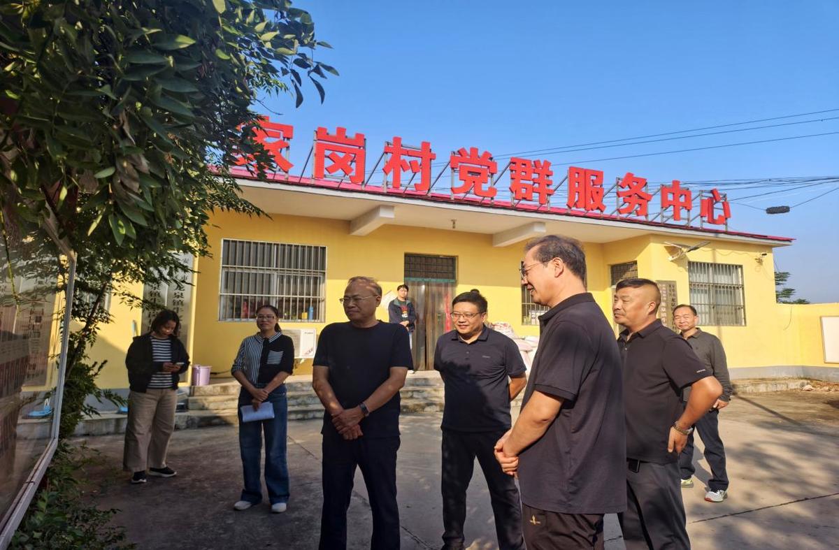 市政协副主席张双献赴龙安区牛家岗村 调研指导软弱涣散村党组织整顿工作