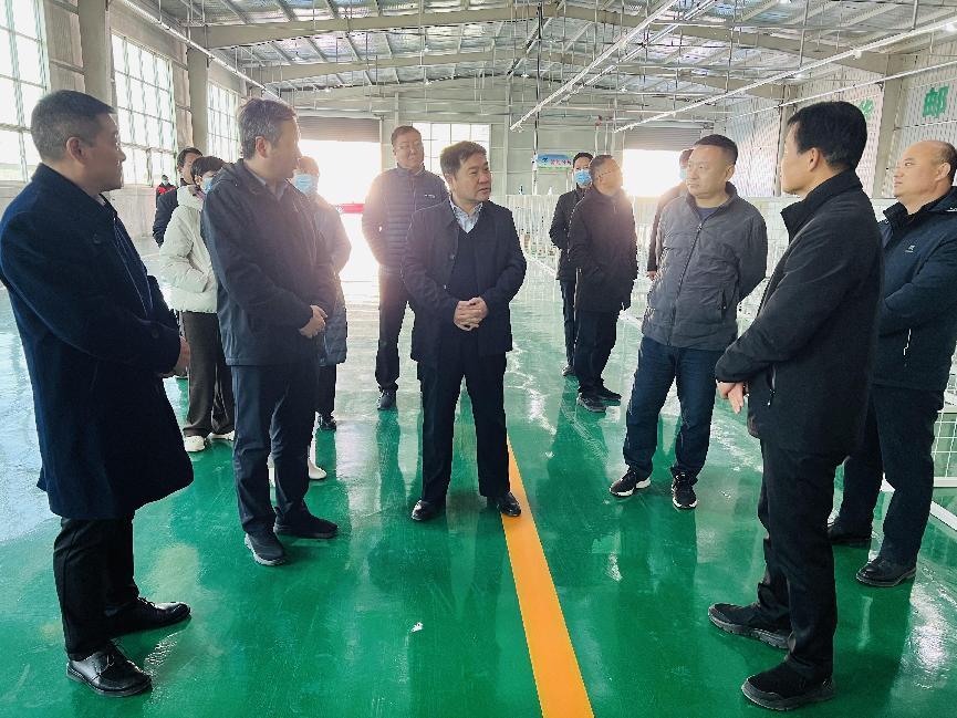 市政协开展城乡交通一体化 民主监督工作