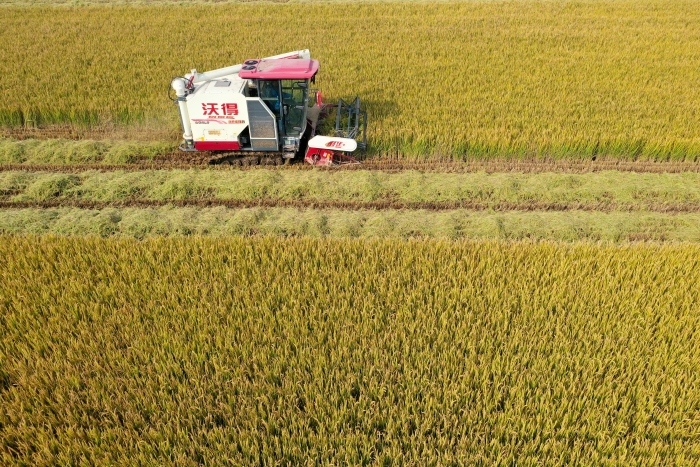 DJI_0480(17671781)-20260206082027