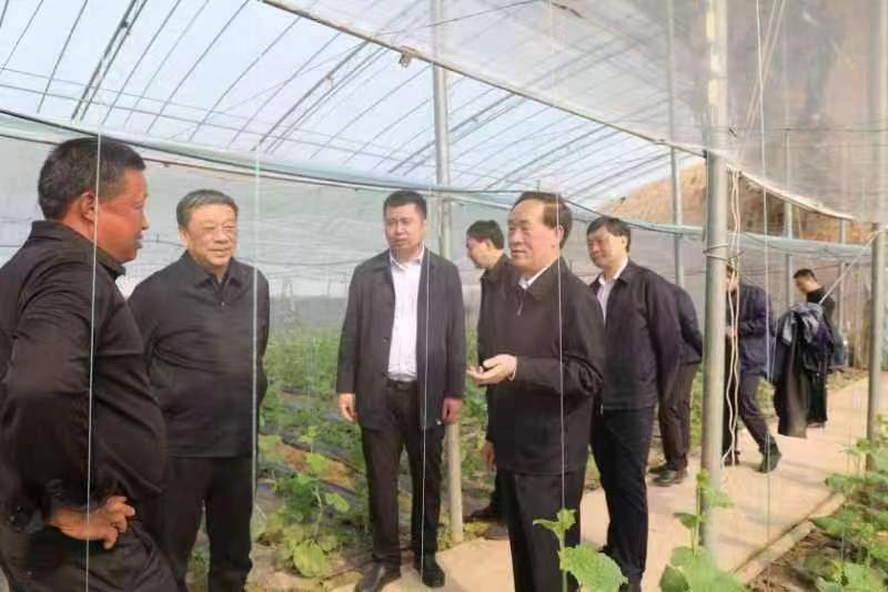 积极推进农业强省建设 促进农业农村事业健康发展<br> ——省政协课题组调研我市农业强省建设情况