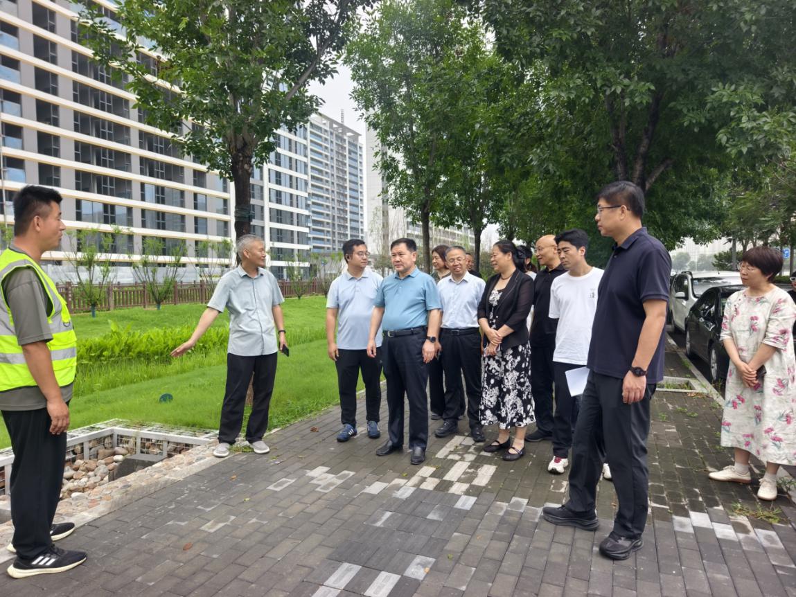 市政协视察“提升城市宜居水平和安全韧性”重点民生实事项目落实情况