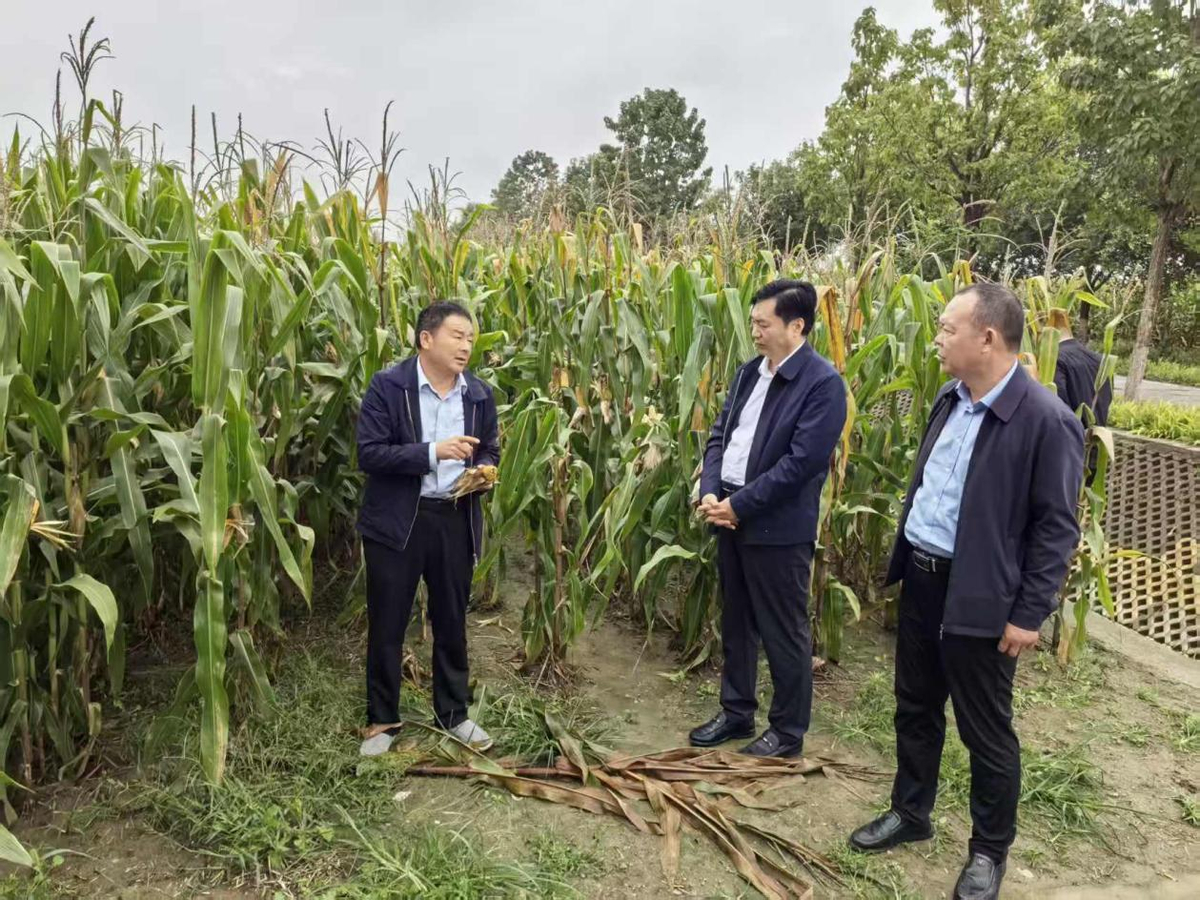 周口市政协到商水县调研农村农资农机  农技服务体系建设发展情况