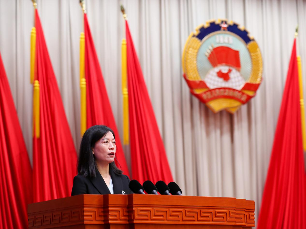 来听政协“好声音”丨河南如何加快实施制度型开放战略