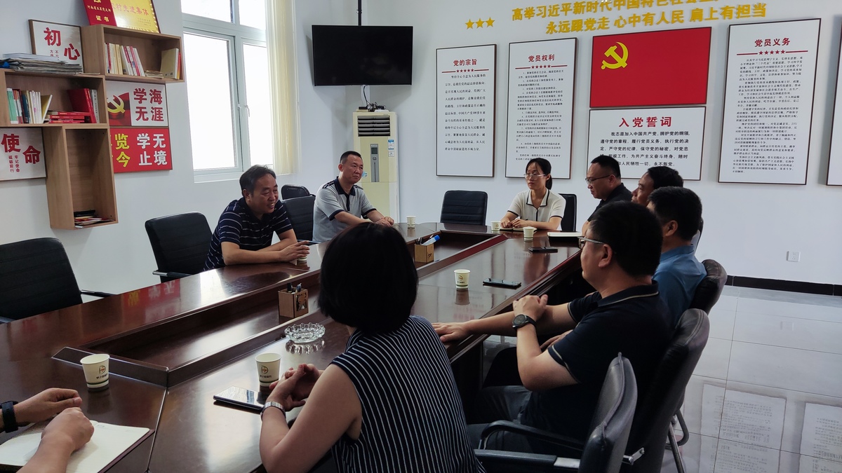 市政协领导到内黄县调研“五星”支部创建和软弱涣散村党组织整顿工作