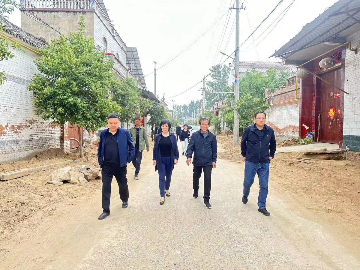 市政协黄艳副主席赴内黄县 调研指导“五星”支部创建工作