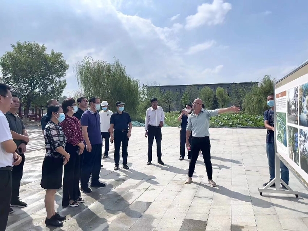 市政协副主席赵洁视察我市城市更新工作
