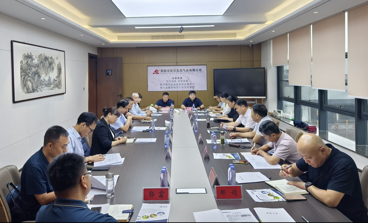 市政协副主席秦志军赴龙安区调研